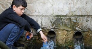 image1170x530cropped 11