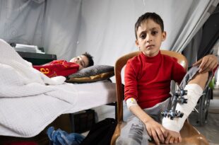 image1170x530cropped 5