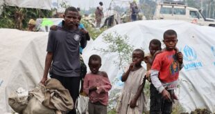 image1170x530cropped 8