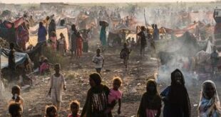 image350x235cropped 2