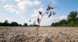 la secheresse va s intensifier dans les annees a venir en france reste a savoir dans quelles proportions photo sipa romain beaumont 1666262857