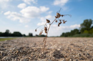 la secheresse va s intensifier dans les annees a venir en france reste a savoir dans quelles proportions photo sipa romain beaumont 1666262857