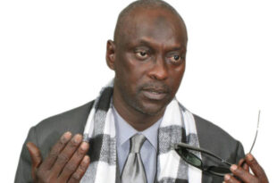 me cheikh koureyssi ba avocat