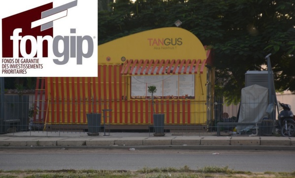 FONGIP : le lourd passif TANGUS par Moustapha DIAKHATE 1 tangus fongip