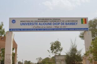 universite