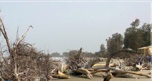 xMonteeMer.jpg.pagespeed.ic .zVjg YQPg7 e1713786685669