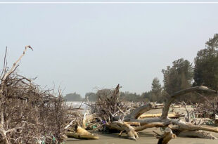 xMonteeMer.jpg.pagespeed.ic .zVjg YQPg7 e1713786685669