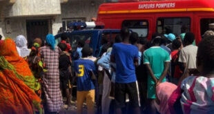 80431823 58056593 e1716379860122