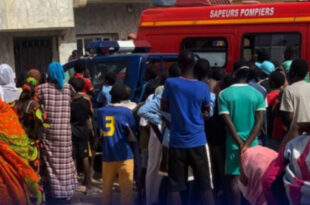 80431823 58056593 e1716379860122