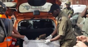 artoff6076 696x414 1