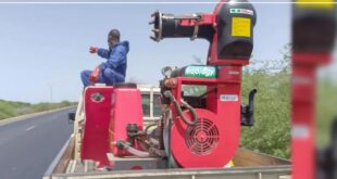 avaire e1717157395199