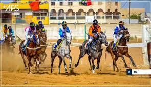 Un mécène au secours de l'hippisme sénégalais : DR Oumar Bao offre des box de départ neufs 2 hippisme
