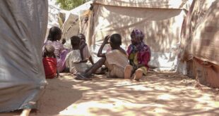 image1170x530cropped 2