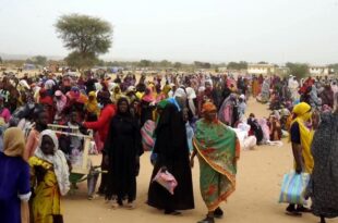 image1170x530cropped 8