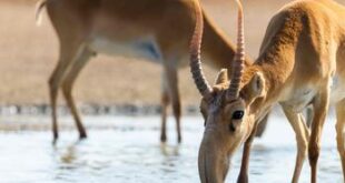 image350x235cropped 1