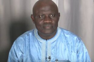 inbound5984338840412688643