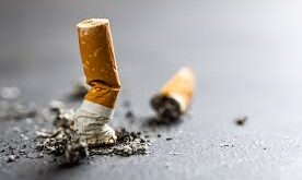 telechargement 10 12