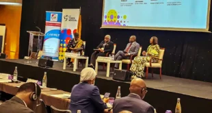 xCouvertureSanitaireUniverselleMinistresAfricainsMobilisationRessourcesDomestiques.jpg.pagespeed.ic .16Mbc7GZH2 e1717056124578