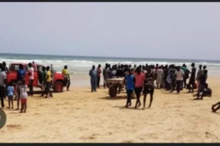 xD0B4970F F257 470E ACEC 0B23F5C53CED 696x361.jpeg.pagespeed.ic .p8PcW7kH52