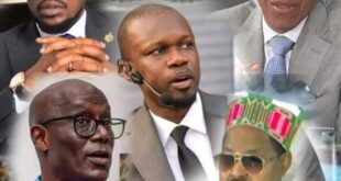 20240629 110651 BlendCollage 1