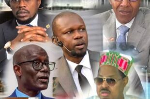 20240629 110651 BlendCollage 1