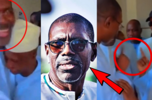 ffabb8c72beeedba74adc62fa91c8a53bab79b6e