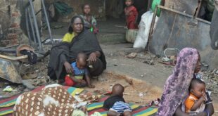 image1170x530cropped 1 1