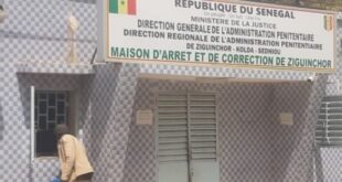 3ac69ffbb1ed2787de4697b3fe6fd5dd310e1de4