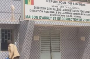 3ac69ffbb1ed2787de4697b3fe6fd5dd310e1de4