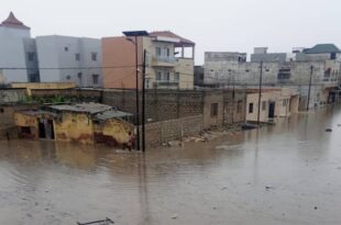 IMG 20240707 WA0030 e1720441969130