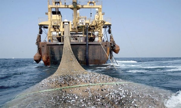 Licences de pêche démersale : les acteurs de la pêche artisanale obtiennent gain de cause 1 Senegal Publication de la liste des navires de peche autorises par le ministere des Peches au 6 mai 2024 thumbnail 1