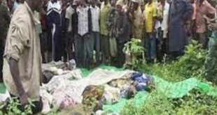 TUERIE BOFFA BAYOTTE