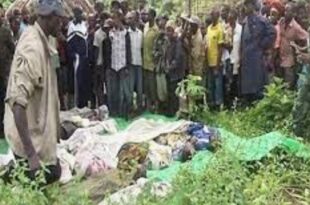 TUERIE BOFFA BAYOTTE