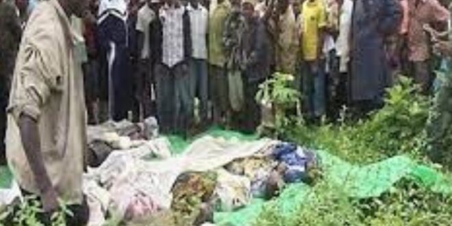 TUERIE BOFFA BAYOTTE