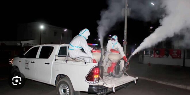 WhatsApp Image 2024 07 11 at 08.34.50