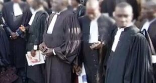 ordre des avocats du senegal 1