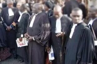 ordre des avocats du senegal 1
