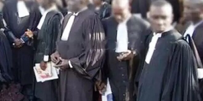 ordre des avocats du senegal 1
