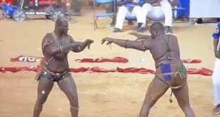 tapha tine balla gaye 2 1 1