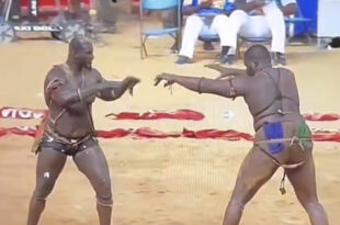 tapha tine balla gaye 2 1 1