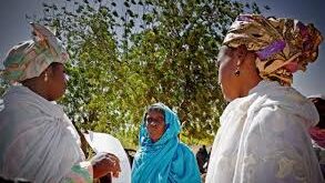 DIISOO NGIR TABAX ËLËG