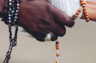 032ec9015c308e748749cbc5e6d95ddd4f8b1d2e