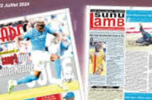 20240804 190444 BlendCollage 1