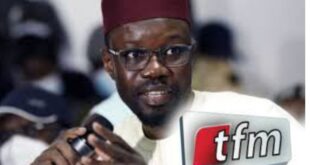 20240822 194302 BlendCollage 1