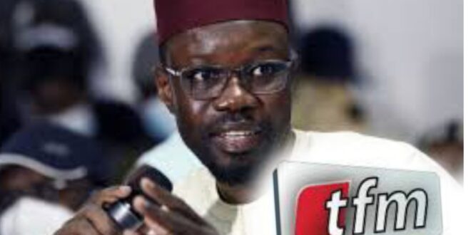 20240822 194302 BlendCollage 1