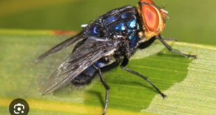 IMG 20240803 WA0002 1