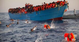 WhatsApp Image 2024 08 08 at 09.04.52