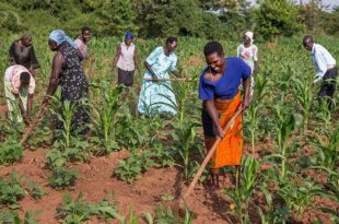 africacan calling african policymakers our economic future must be powered by our farms 780x439 1