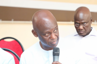 faye mansour copie 8331