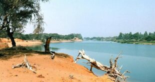 fleuve senegal 000 1 1